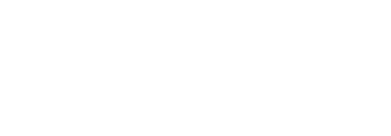 Roomix